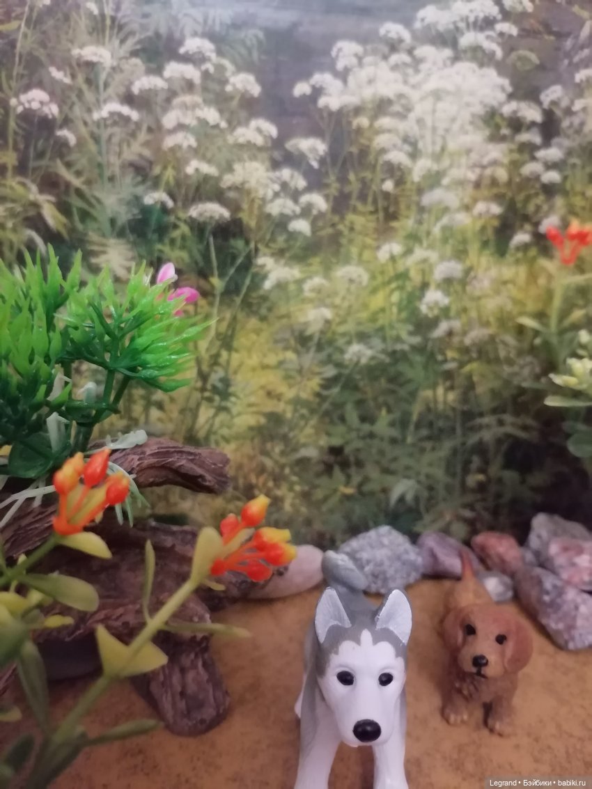 Лурения: питомцы на прогулке (фото 6)