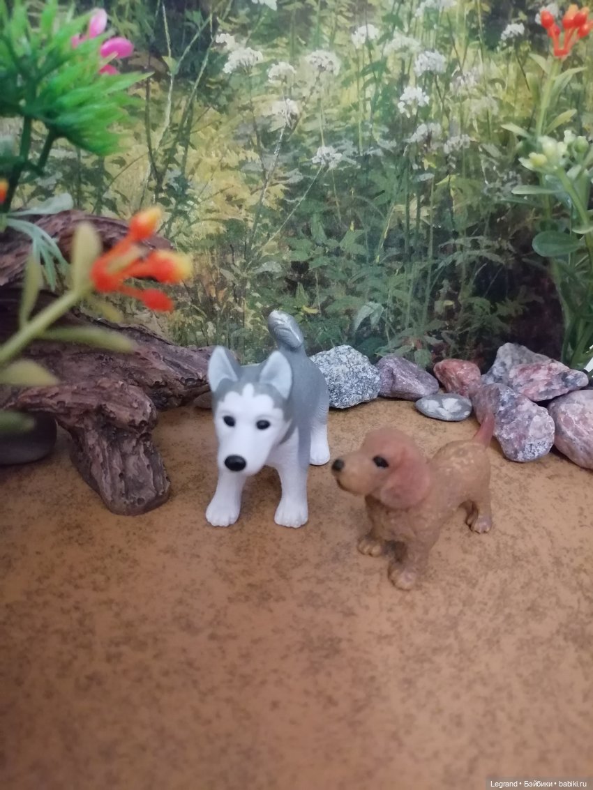 Лурения: питомцы на прогулке (фото 4)