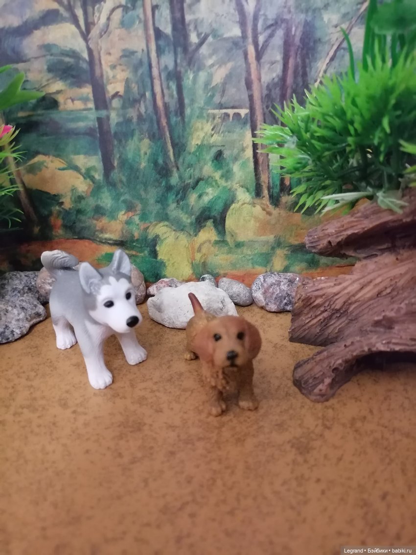 Лурения: питомцы на прогулке