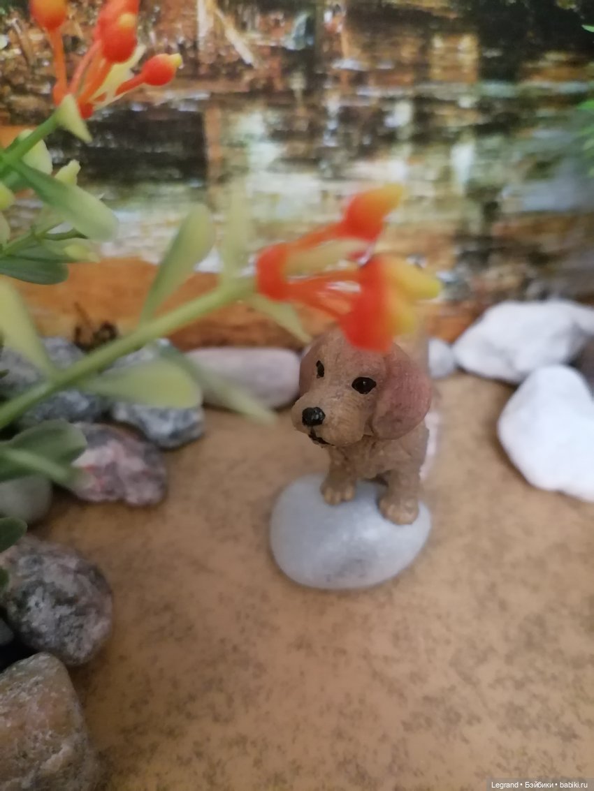 Лурения: питомцы на прогулке