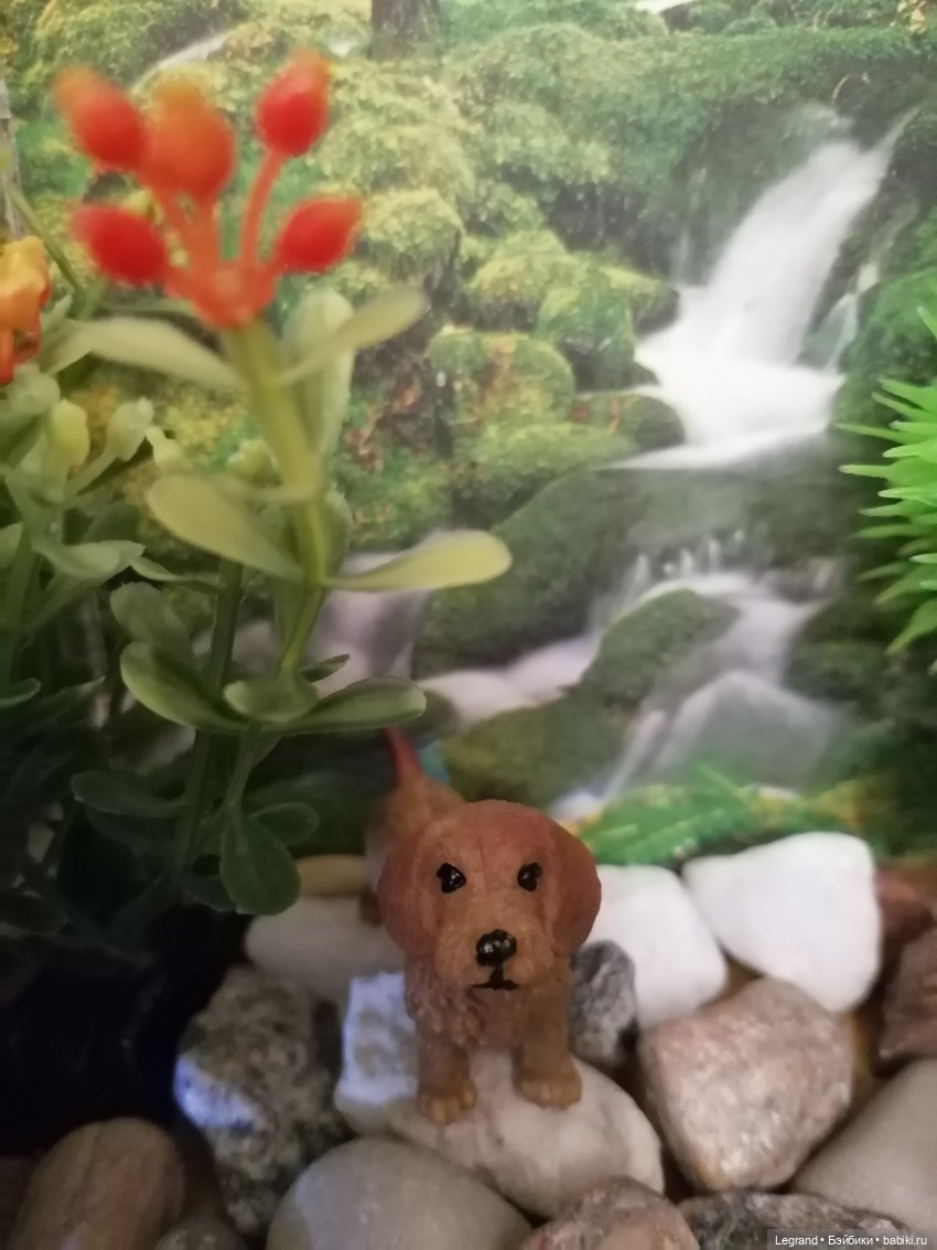 Лурения: питомцы на прогулке