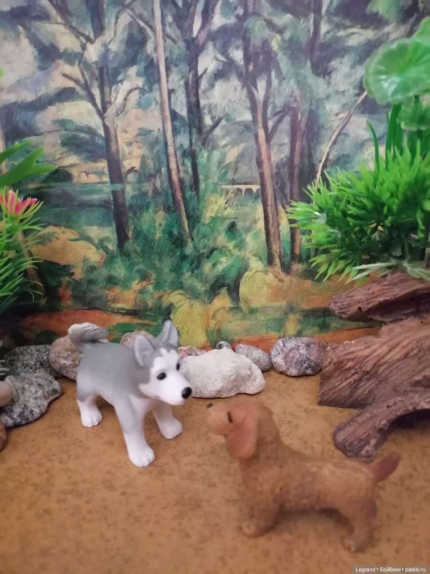 Лурения: питомцы на прогулке