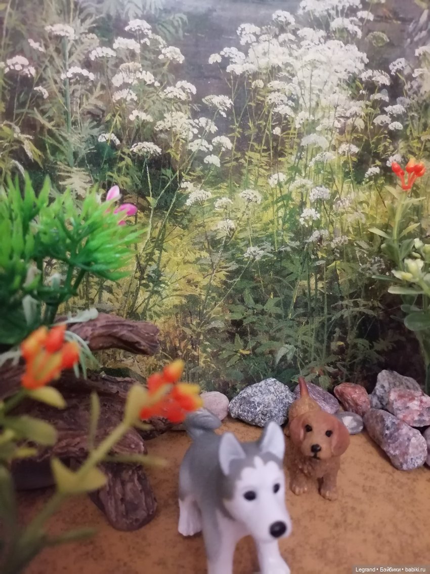 Лурения: питомцы на прогулке (фото 9)