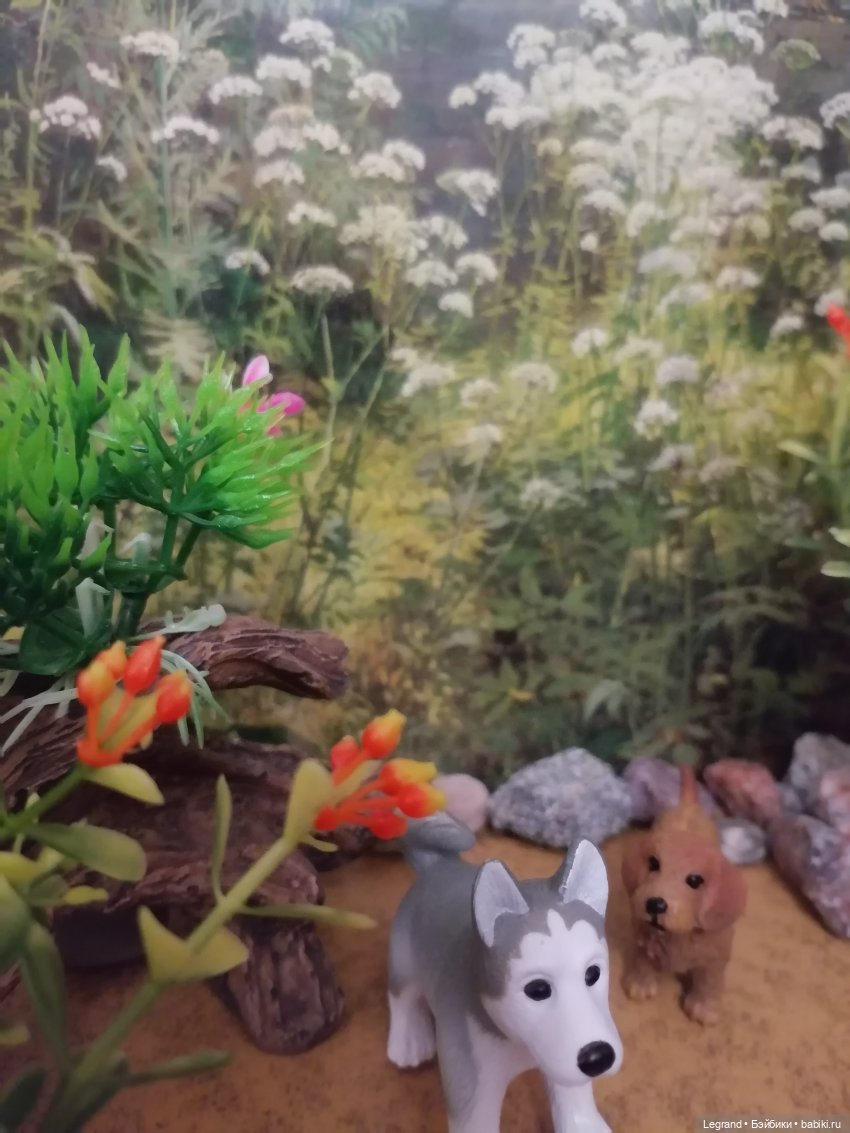 Лурения: питомцы на прогулке (фото 8)