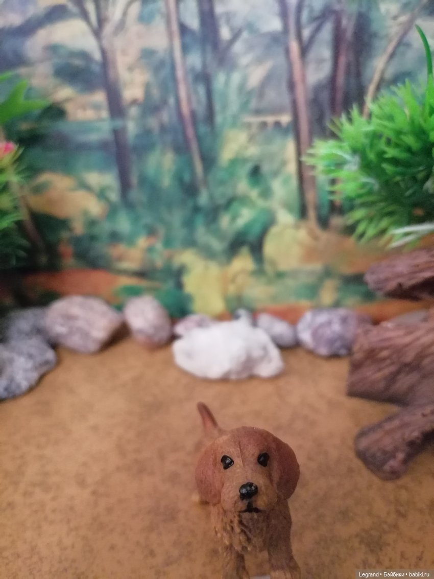 Лурения: питомцы на прогулке