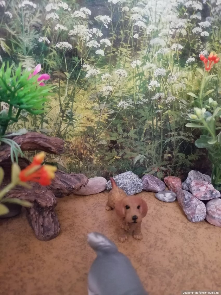 Лурения: питомцы на прогулке