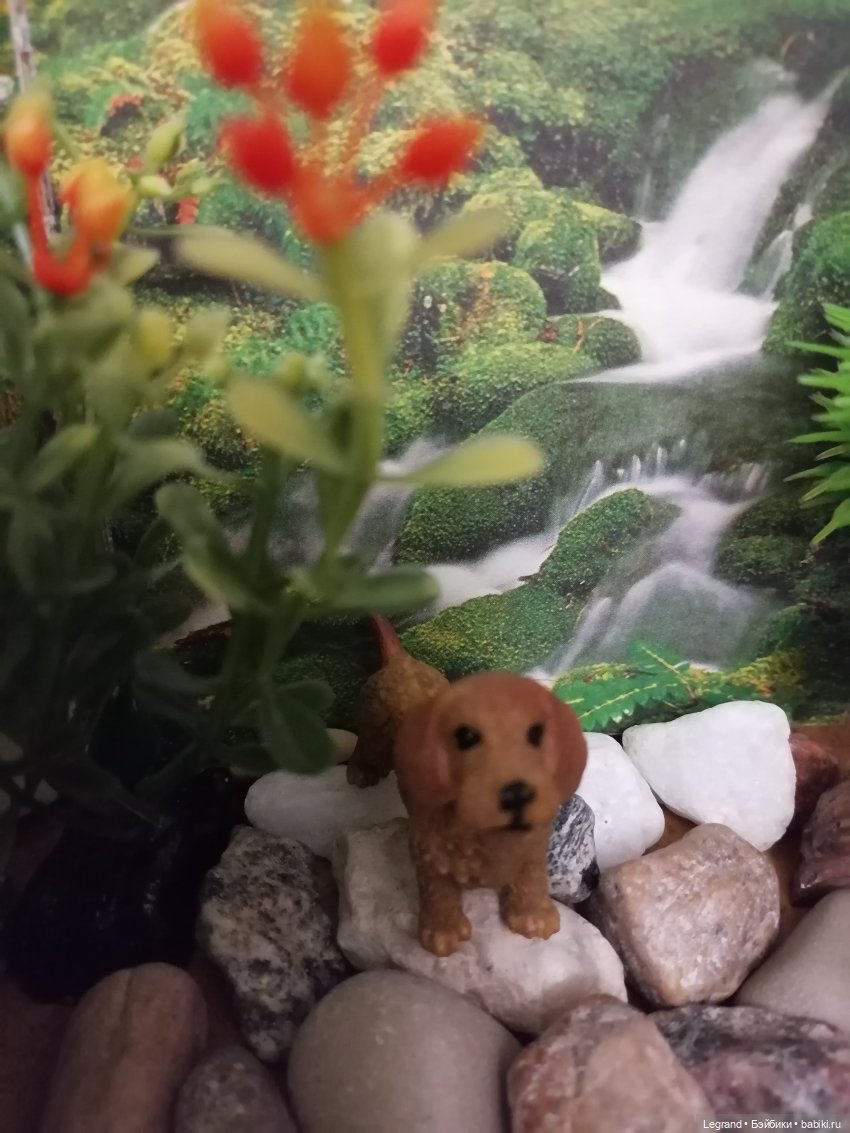 Лурения: питомцы на прогулке