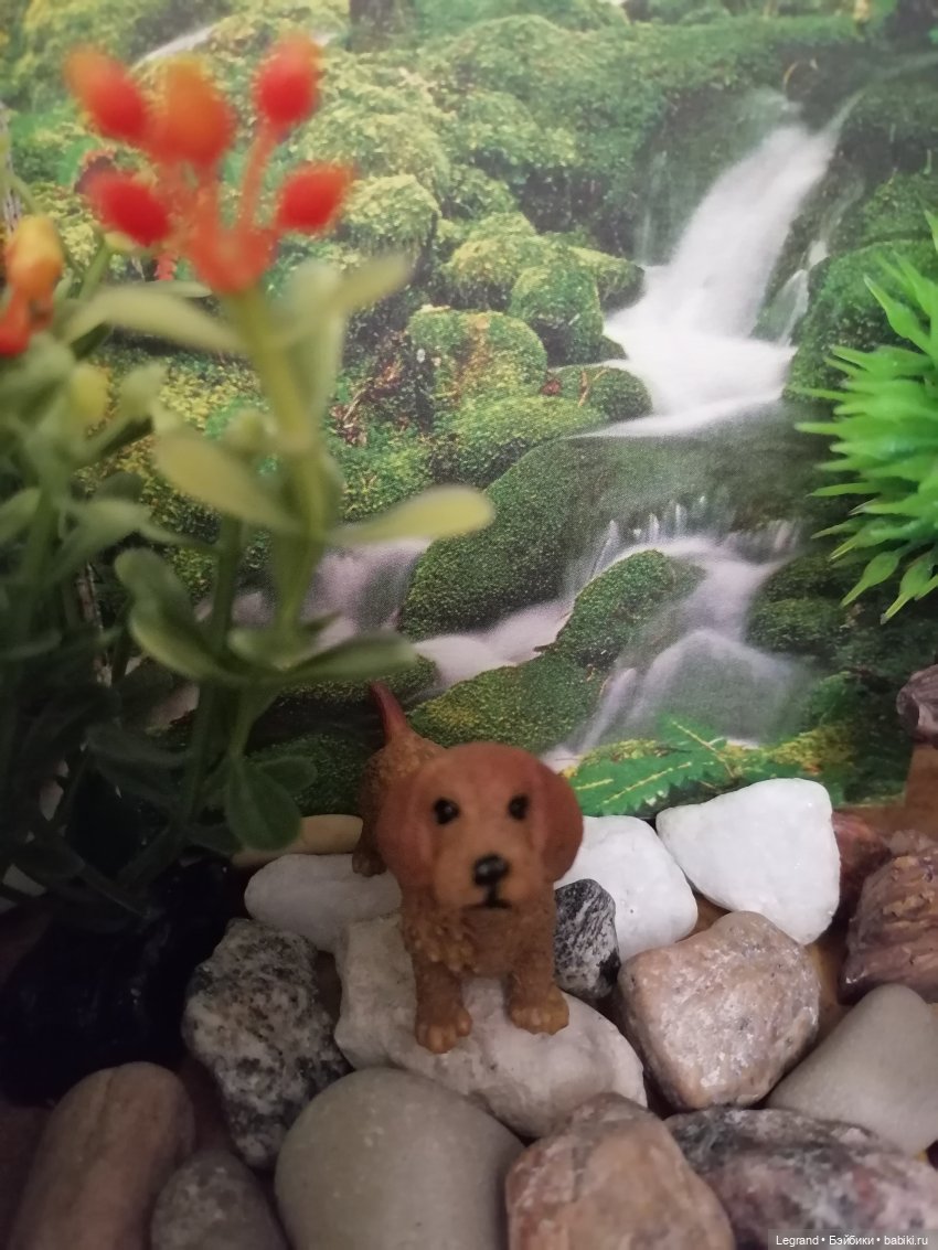 Лурения: питомцы на прогулке