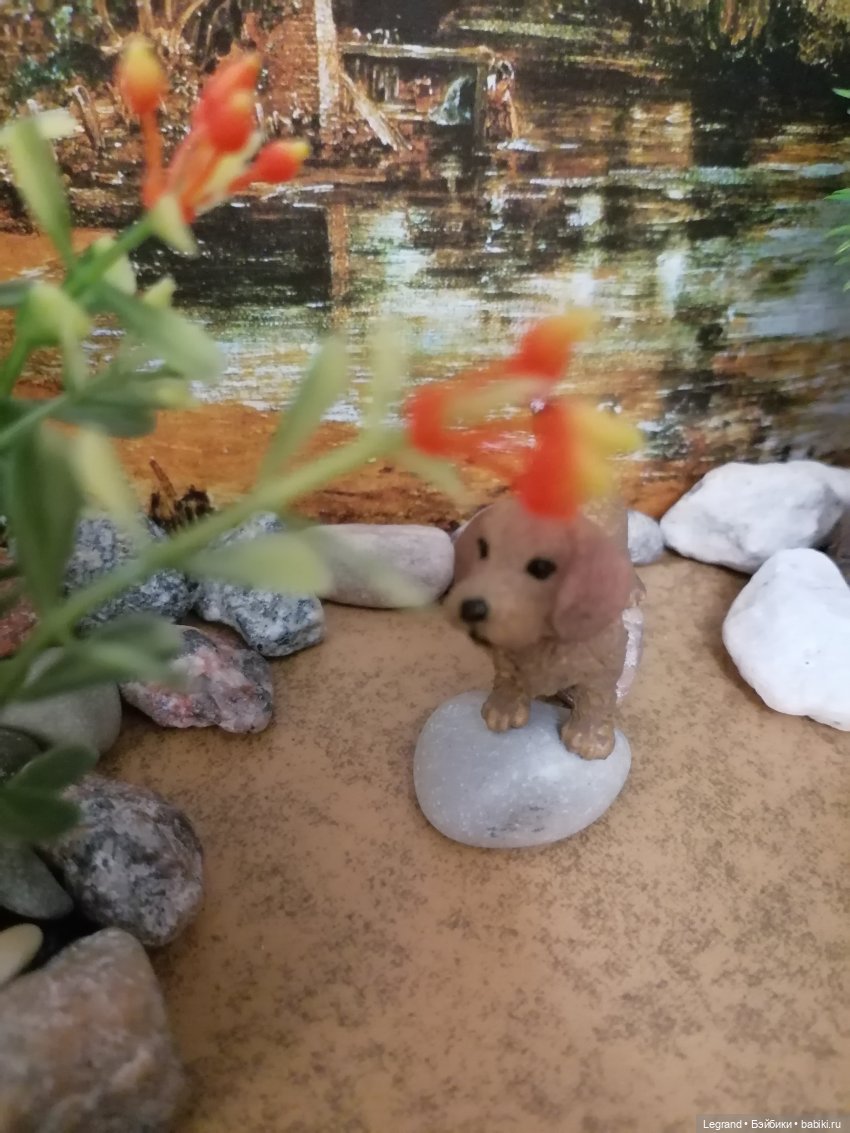 Лурения: питомцы на прогулке