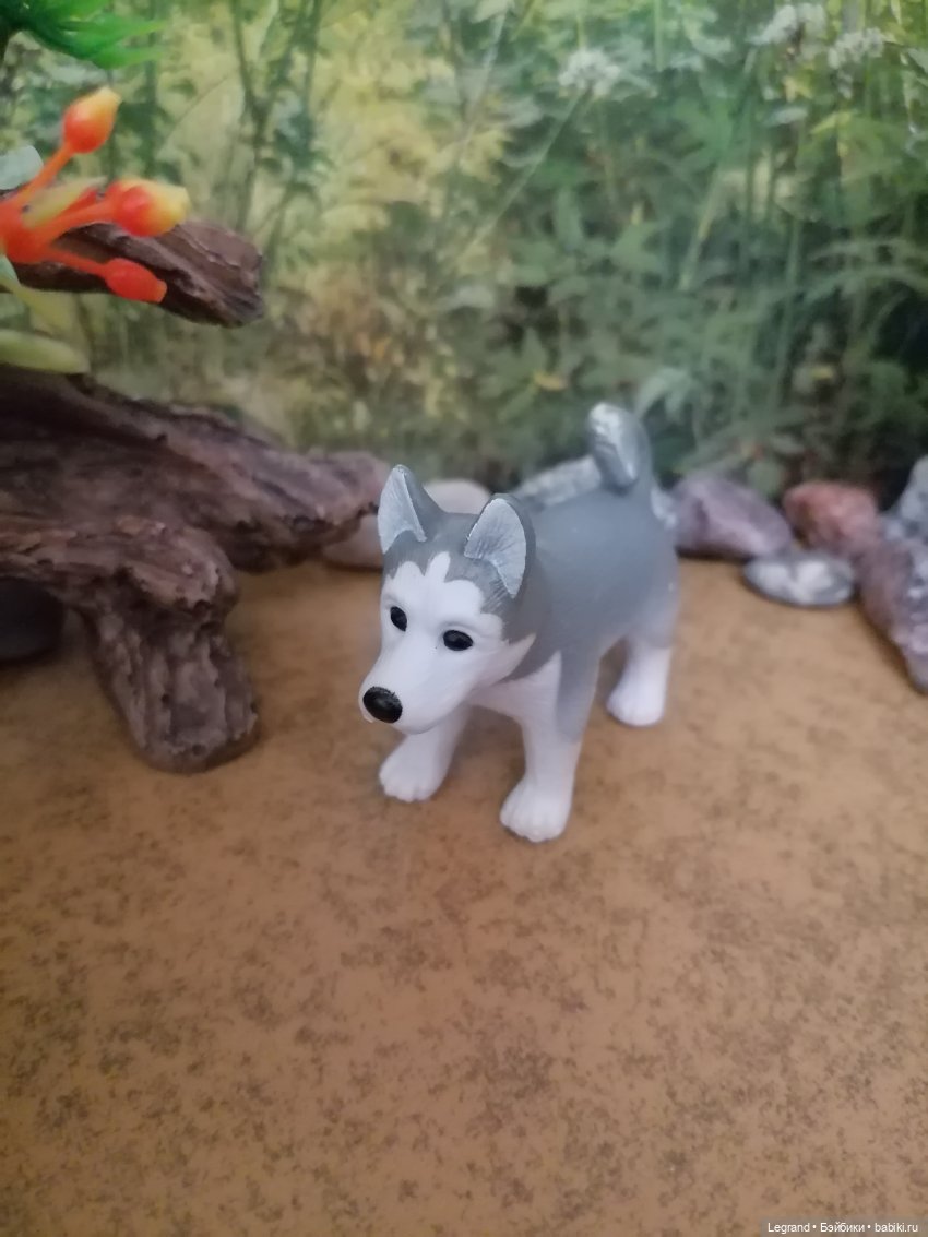 Лурения: питомцы на прогулке (фото 2)