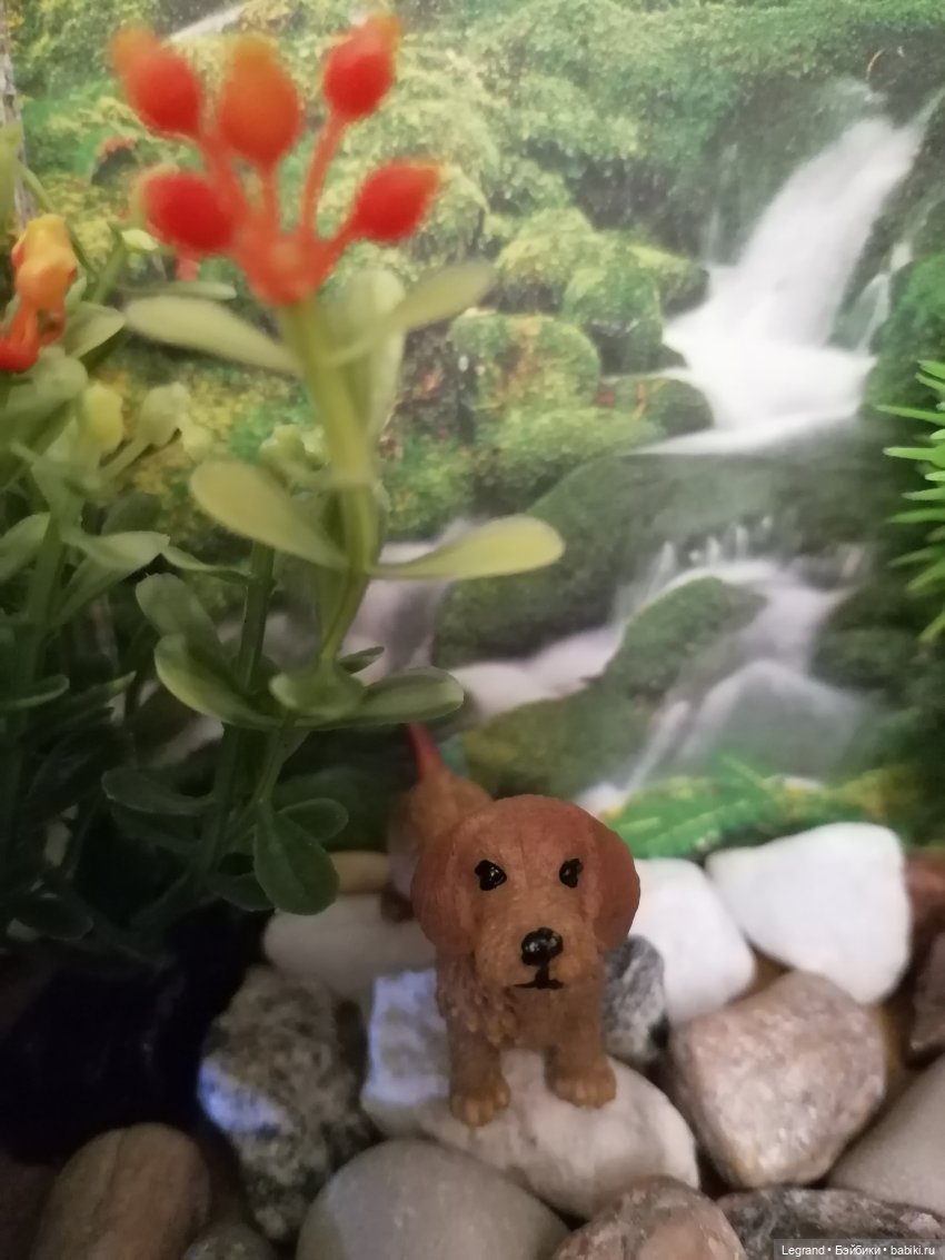 Лурения: питомцы на прогулке