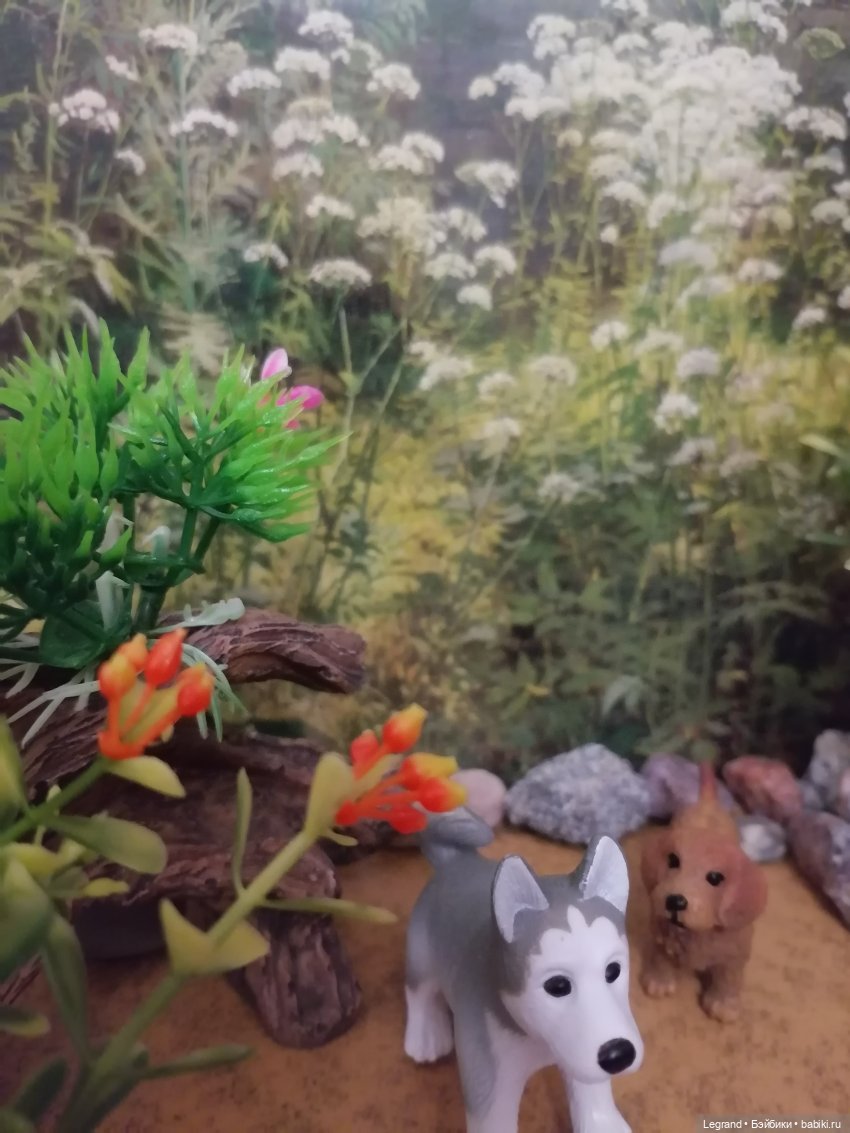 Лурения: питомцы на прогулке (фото 10)