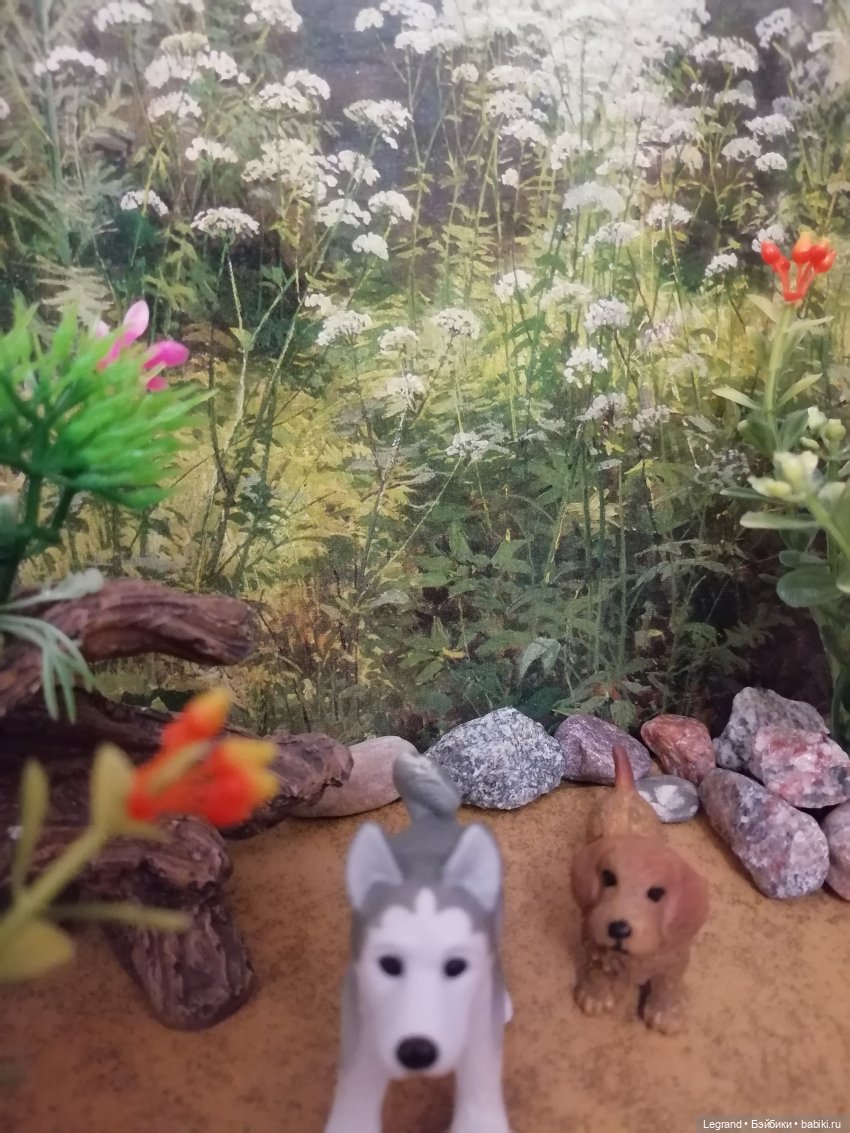 Лурения: питомцы на прогулке (фото 7)