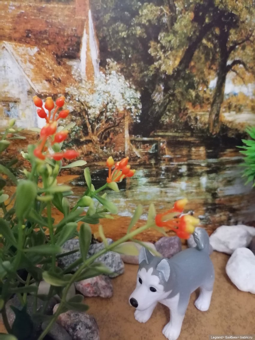 Лурения: питомцы на прогулке