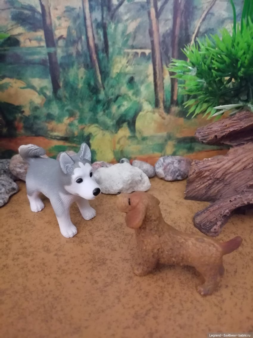 Лурения: питомцы на прогулке