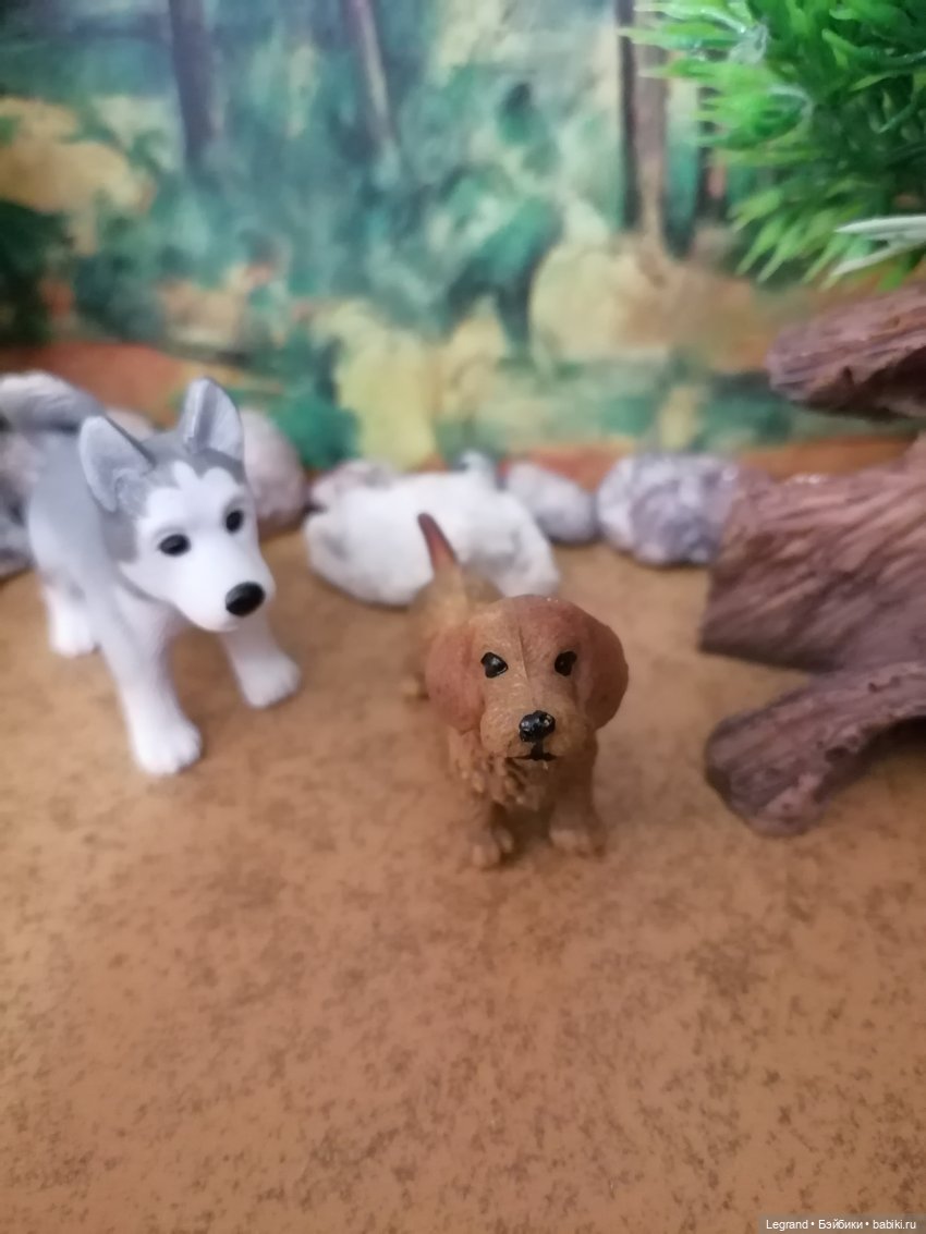 Лурения: питомцы на прогулке