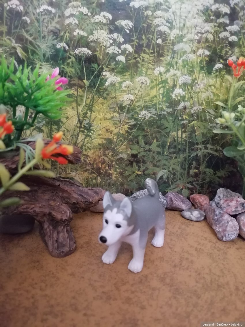 Лурения: питомцы на прогулке