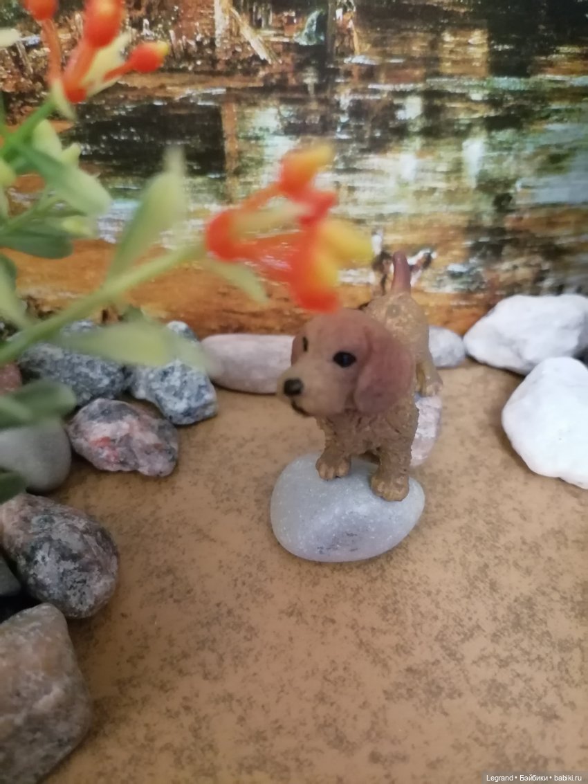 Лурения: питомцы на прогулке