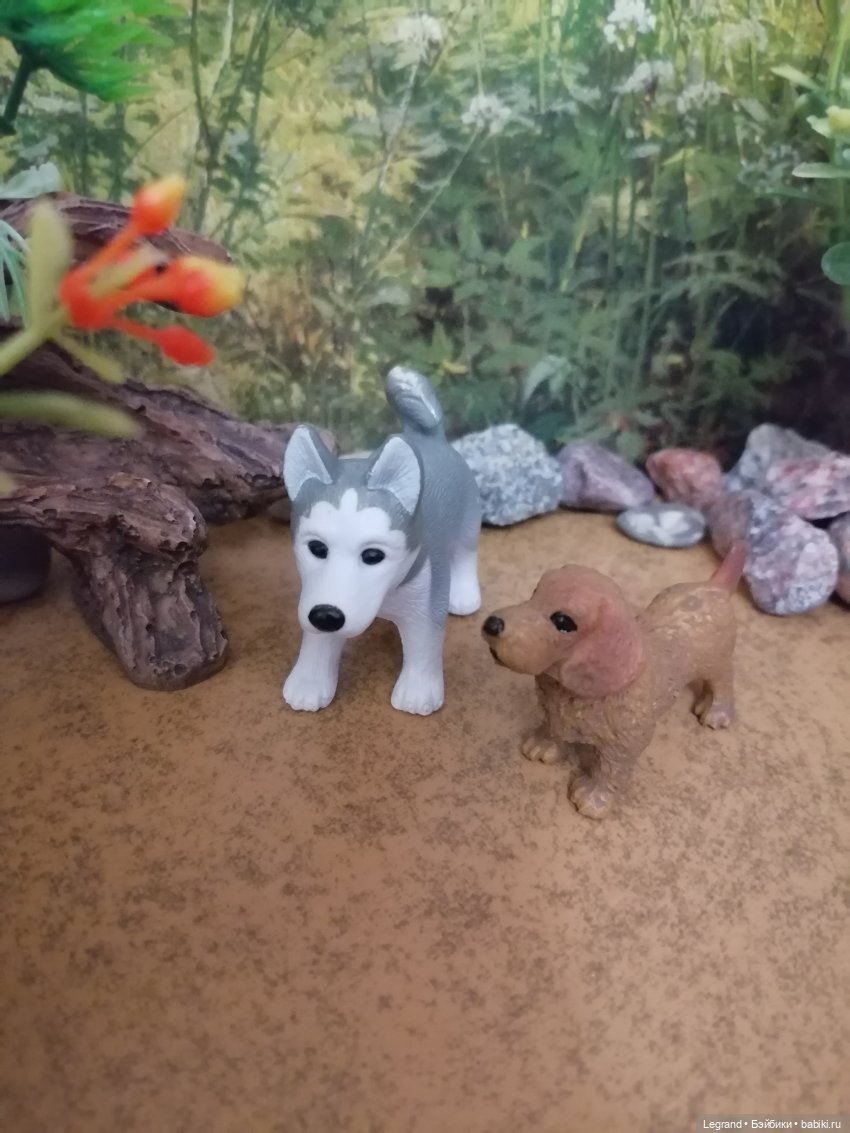 Лурения: питомцы на прогулке (фото 5)