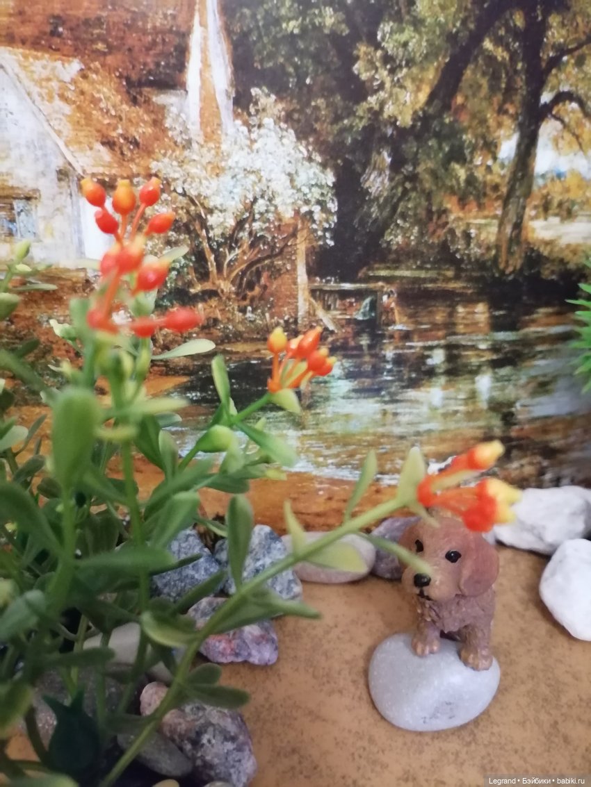 Лурения: питомцы на прогулке