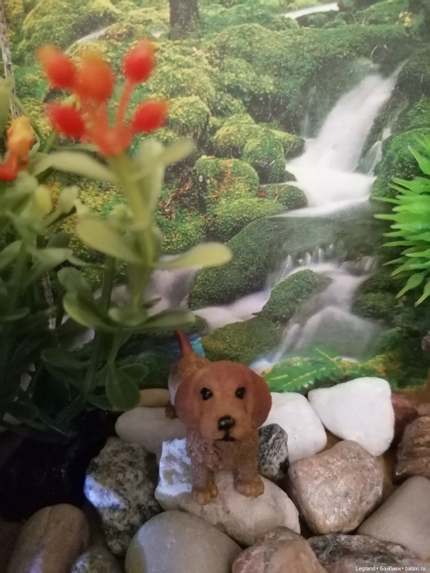 Лурения: питомцы на прогулке