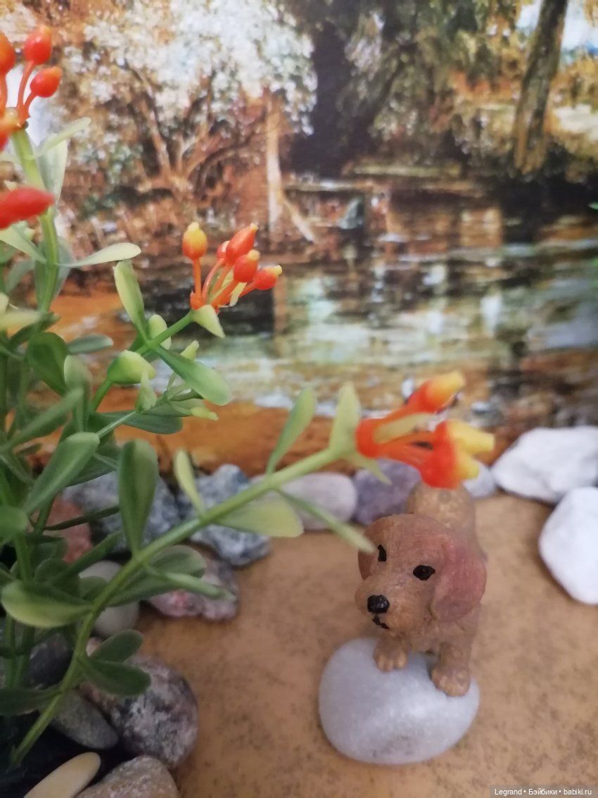 Лурения: питомцы на прогулке