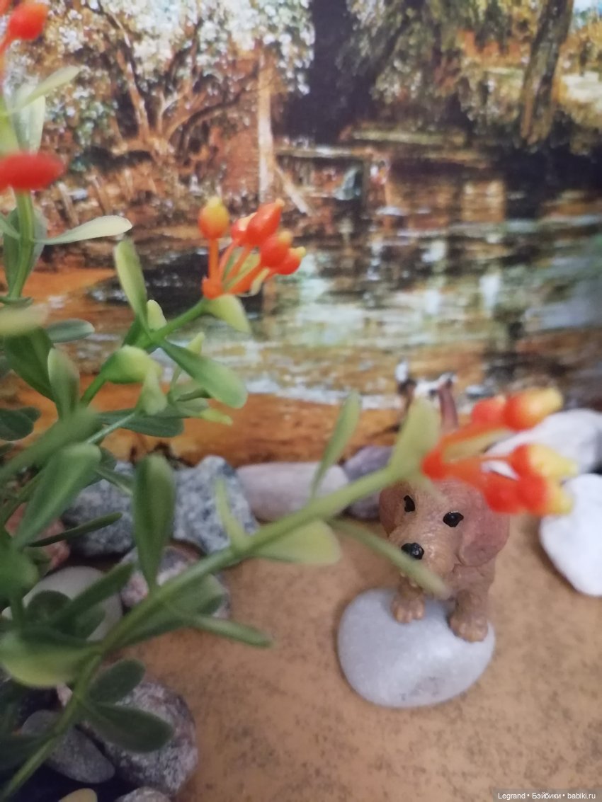 Лурения: питомцы на прогулке