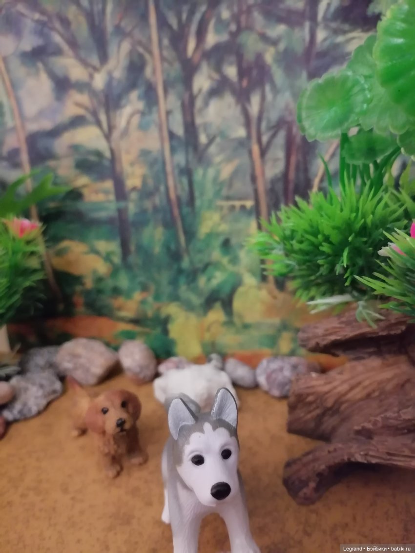 Лурения: питомцы на прогулке