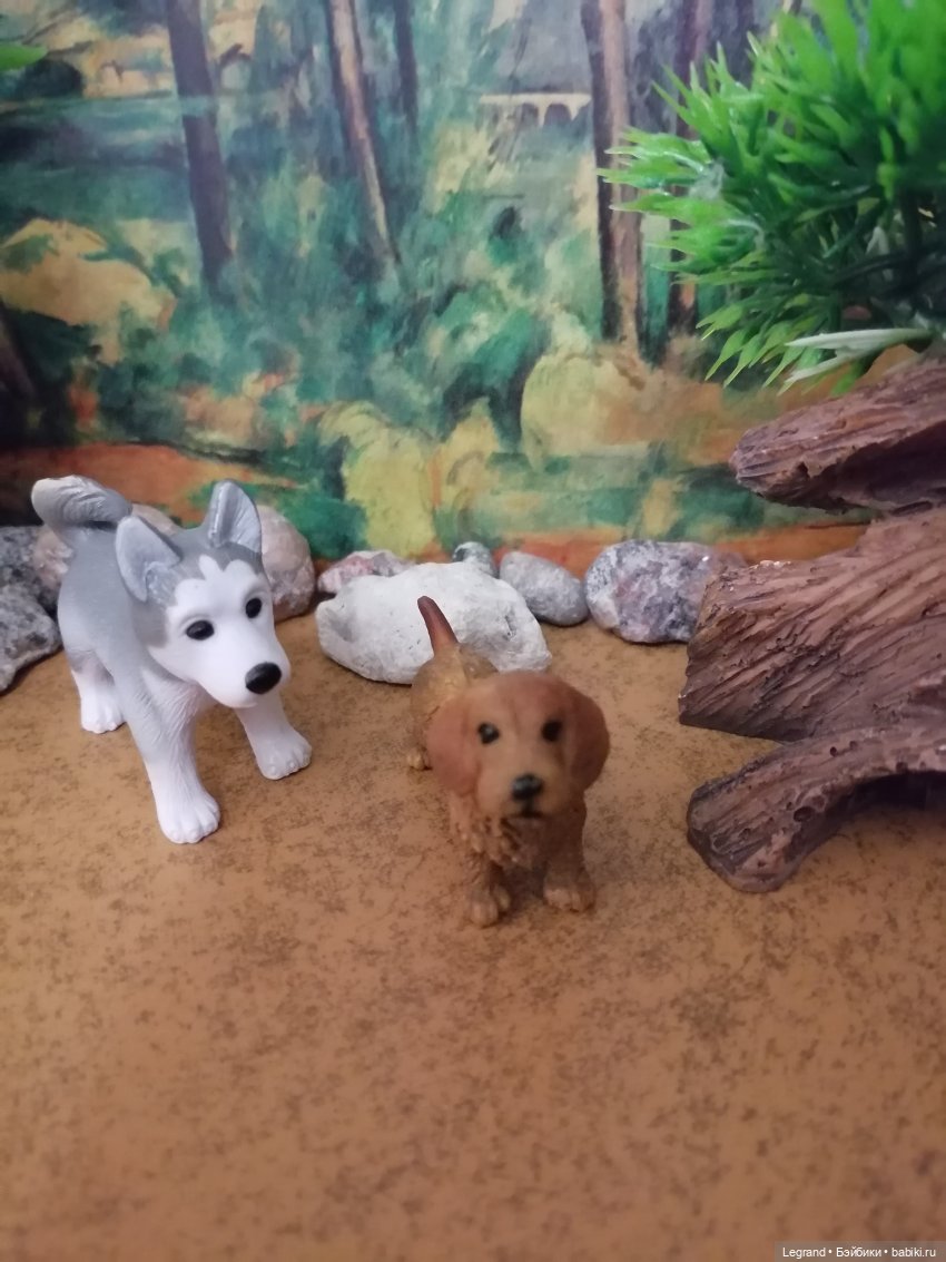 Лурения: питомцы на прогулке