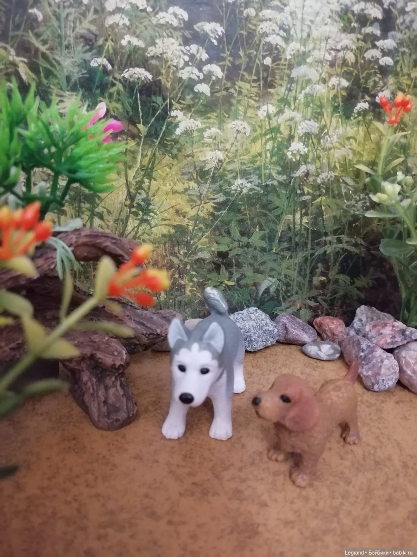 Лурения: питомцы на прогулке (фото 3)