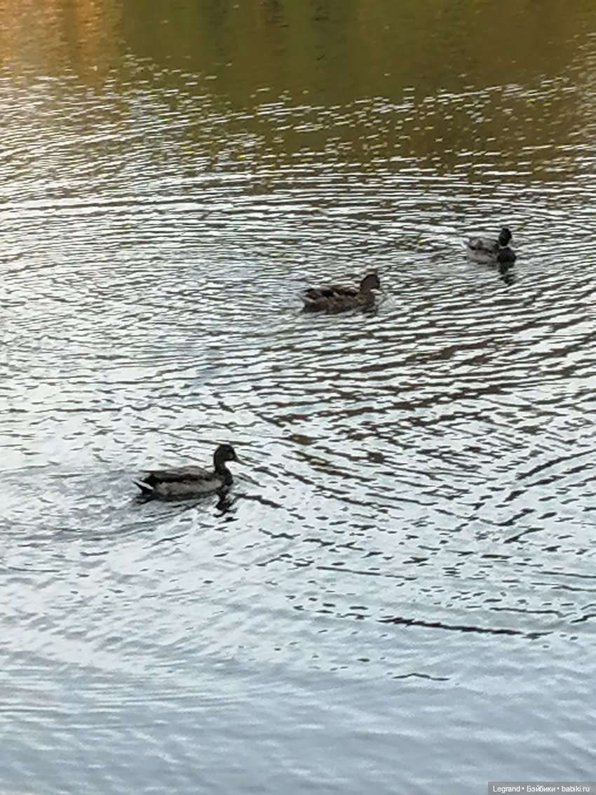 Лурения: Жак-Анж для Брю — Зарисовки из кукольной жизни: фотоистории (фото 9)