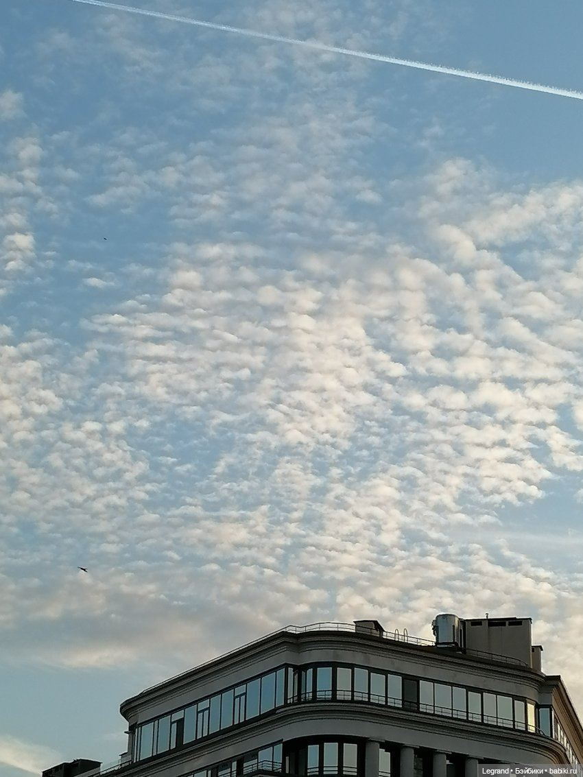 Лурения: Жак-Анж для Брю — Зарисовки из кукольной жизни: фотоистории