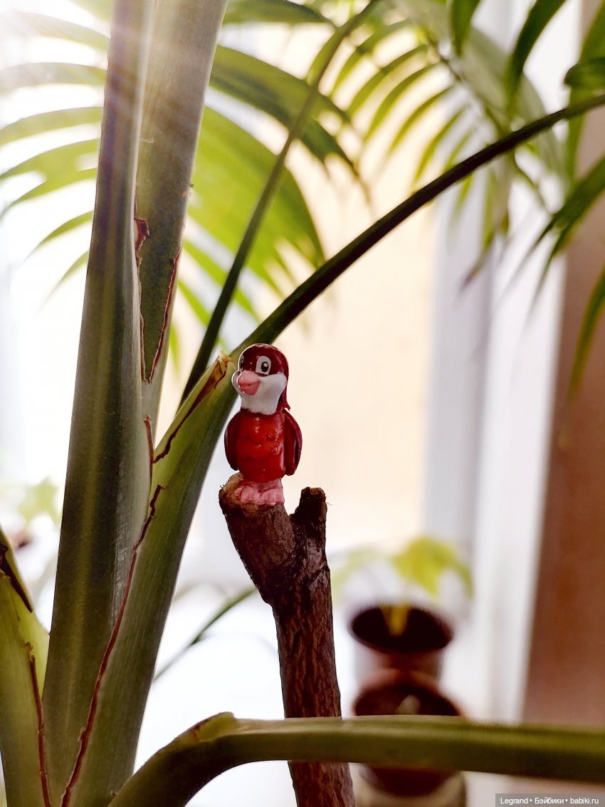 Лурения: Жак-Анж для Брю — Зарисовки из кукольной жизни: фотоистории