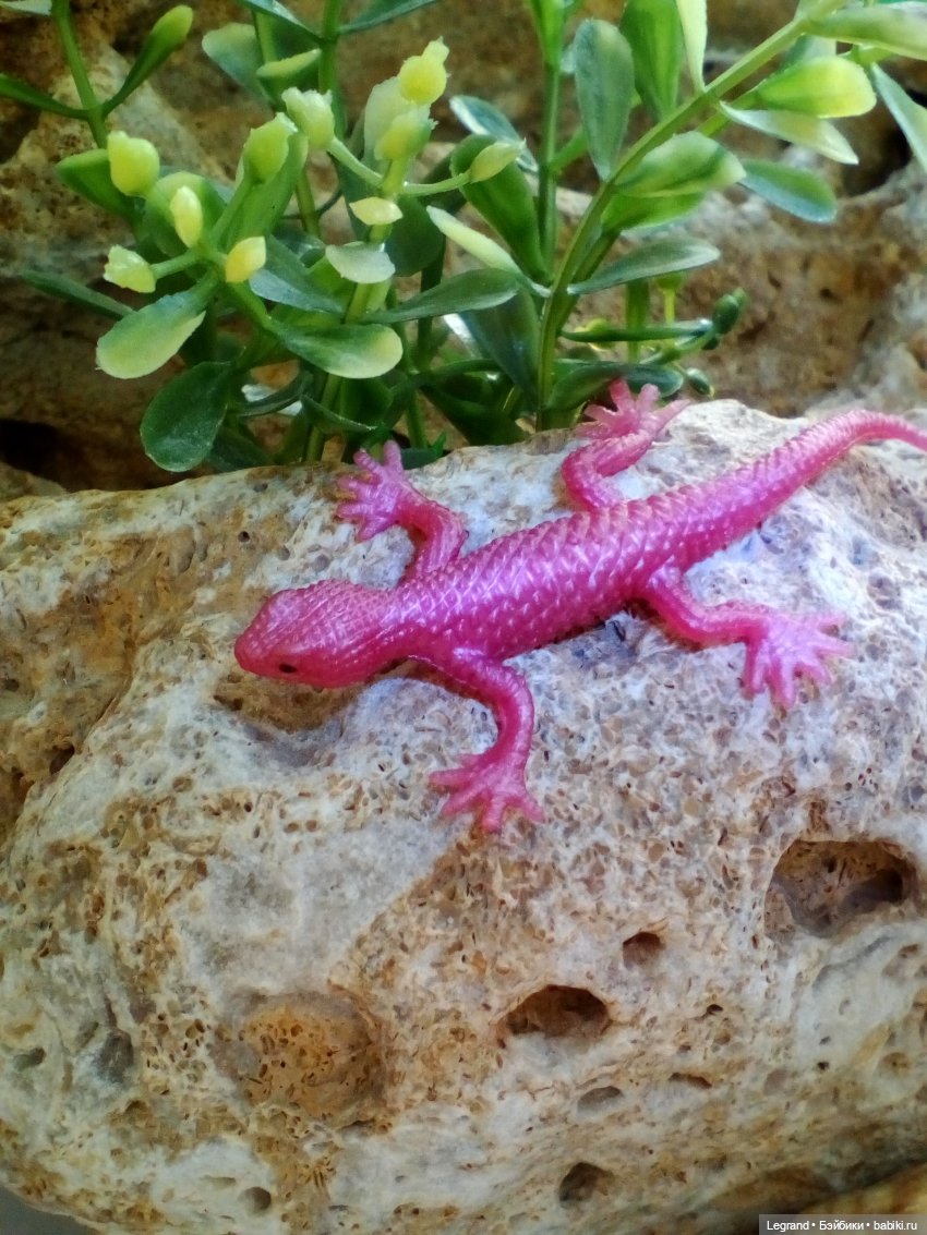 Лурения: Жак-Анж для Брю — Зарисовки из кукольной жизни: фотоистории