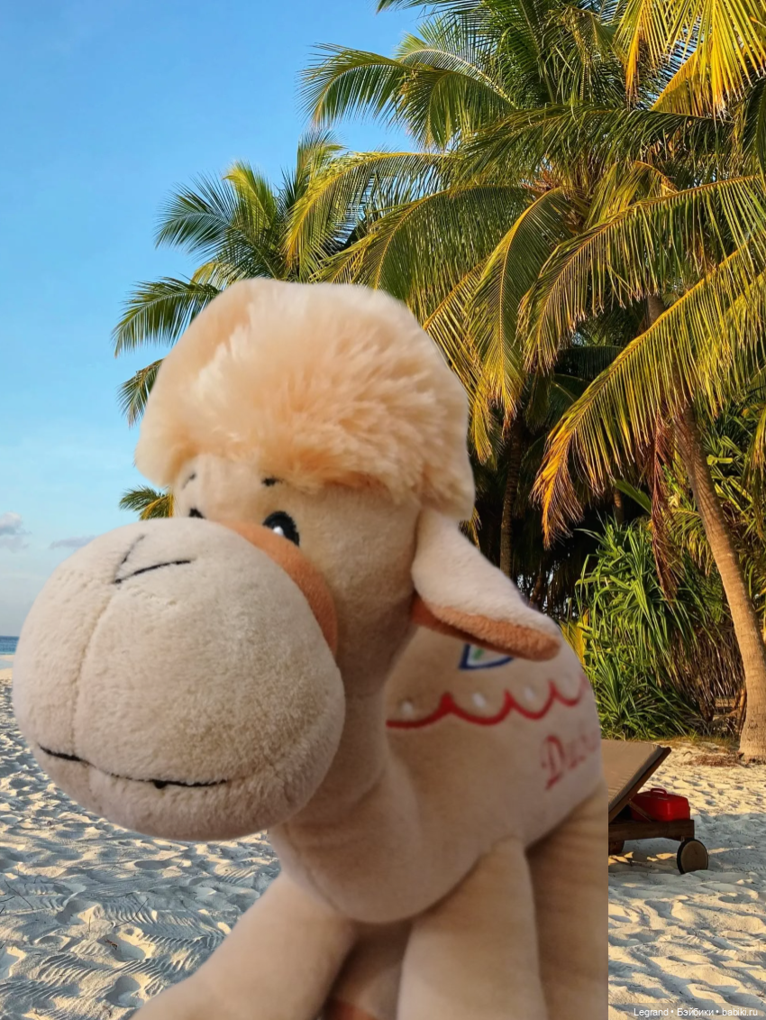 Любимый верблюд — Интересные игрушки и фигурки (разное): редкие