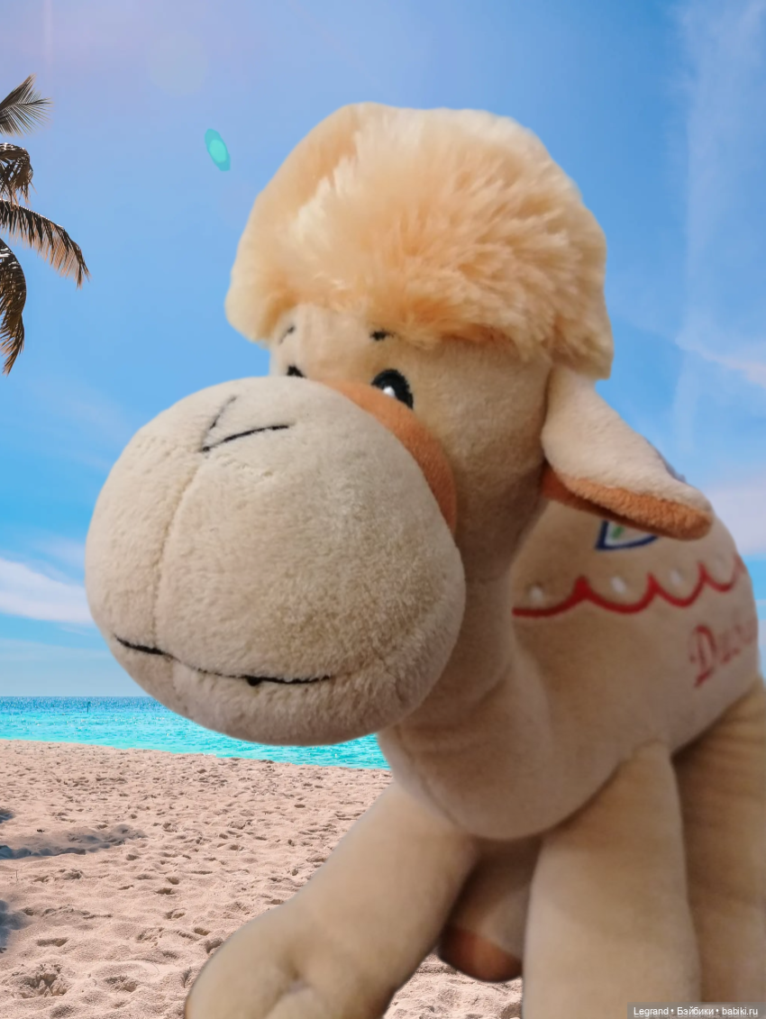 Любимый верблюд — Интересные игрушки и фигурки (разное): редкие