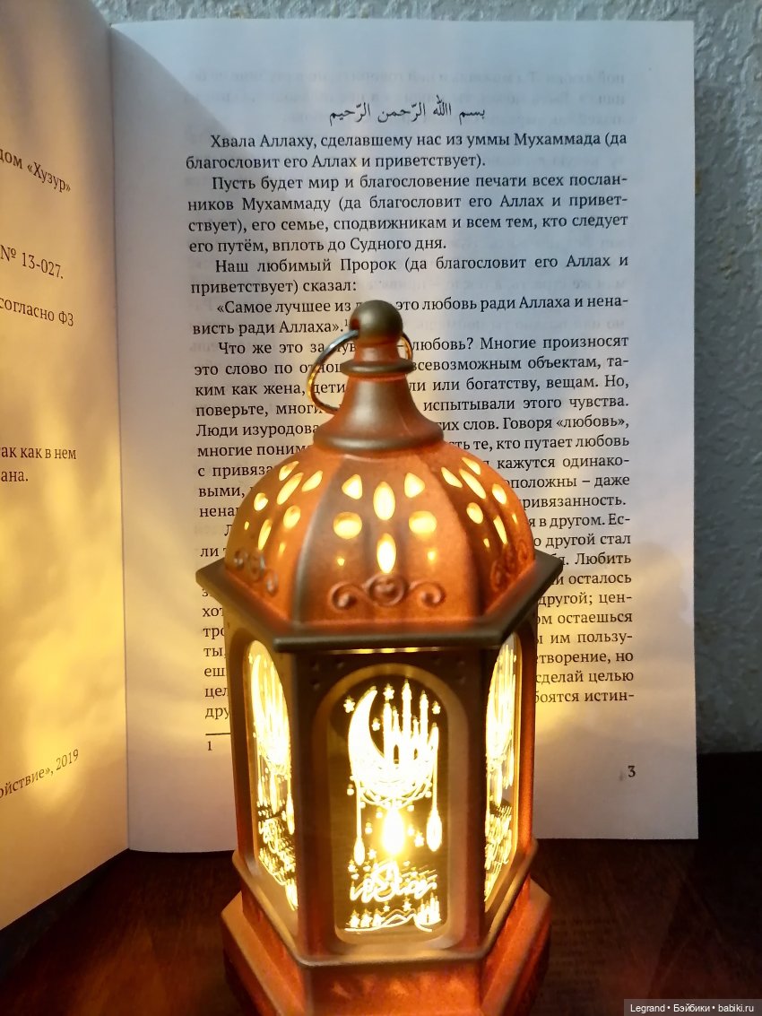 Любимый верблюд — Интересные игрушки и фигурки (разное): редкие