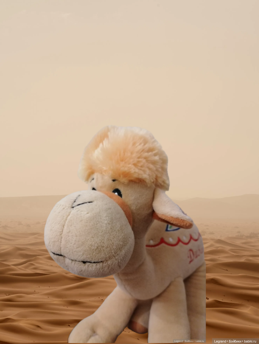 Любимый верблюд — Интересные игрушки и фигурки (разное): редкие