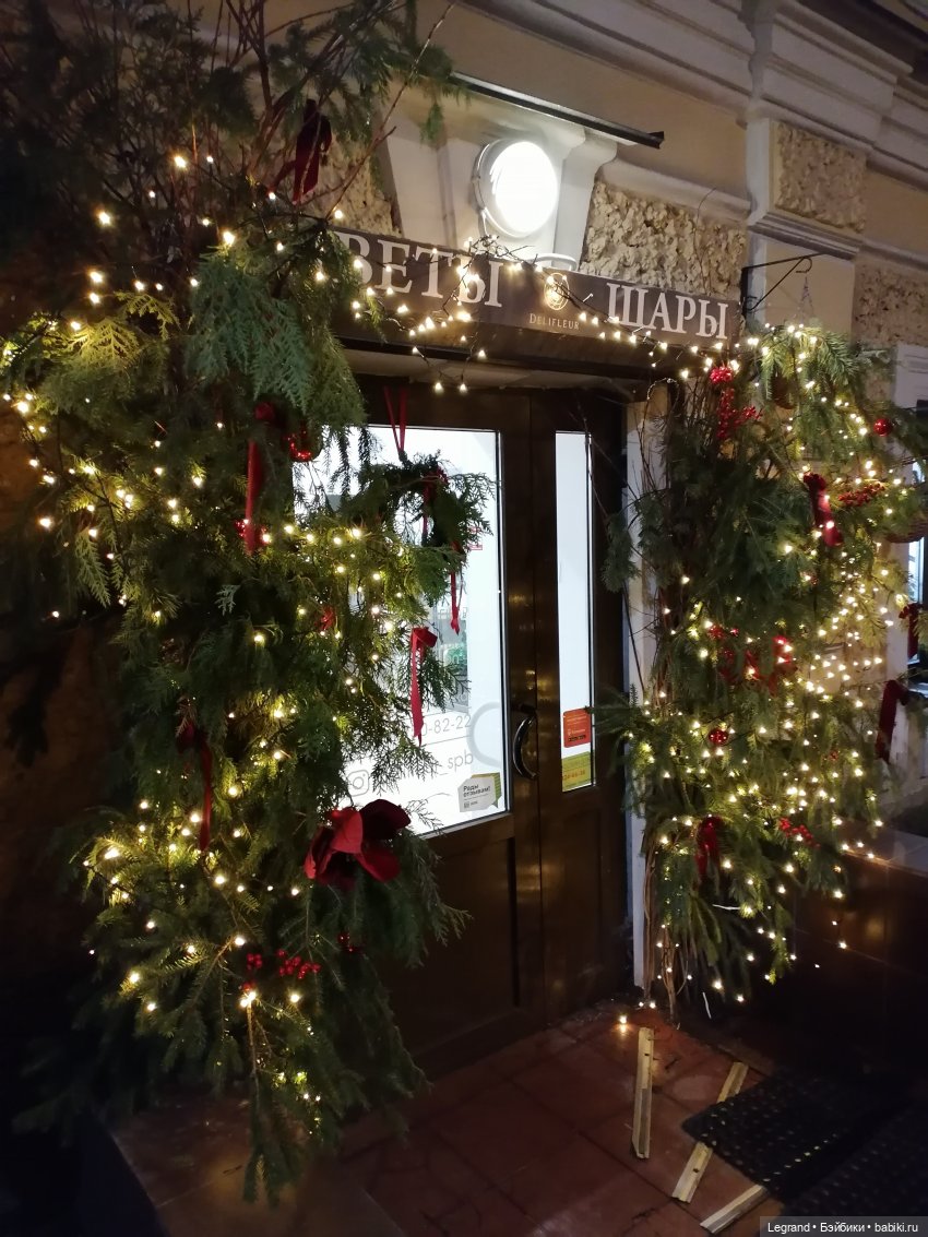 Зимний Санкт-Петербург — Туризм и путешествия: фотоотчеты из поездок