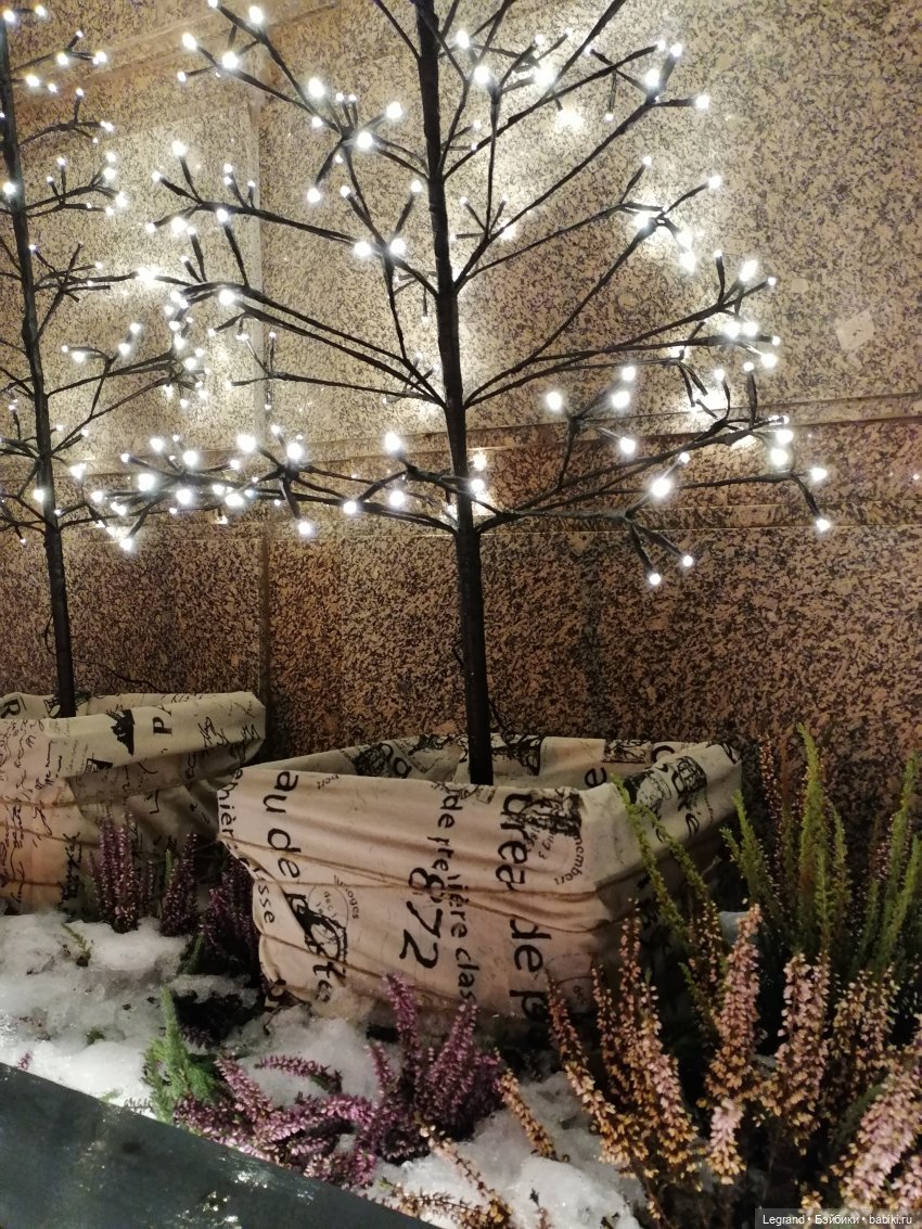 Зимний Санкт-Петербург — Туризм и путешествия: фотоотчеты из поездок