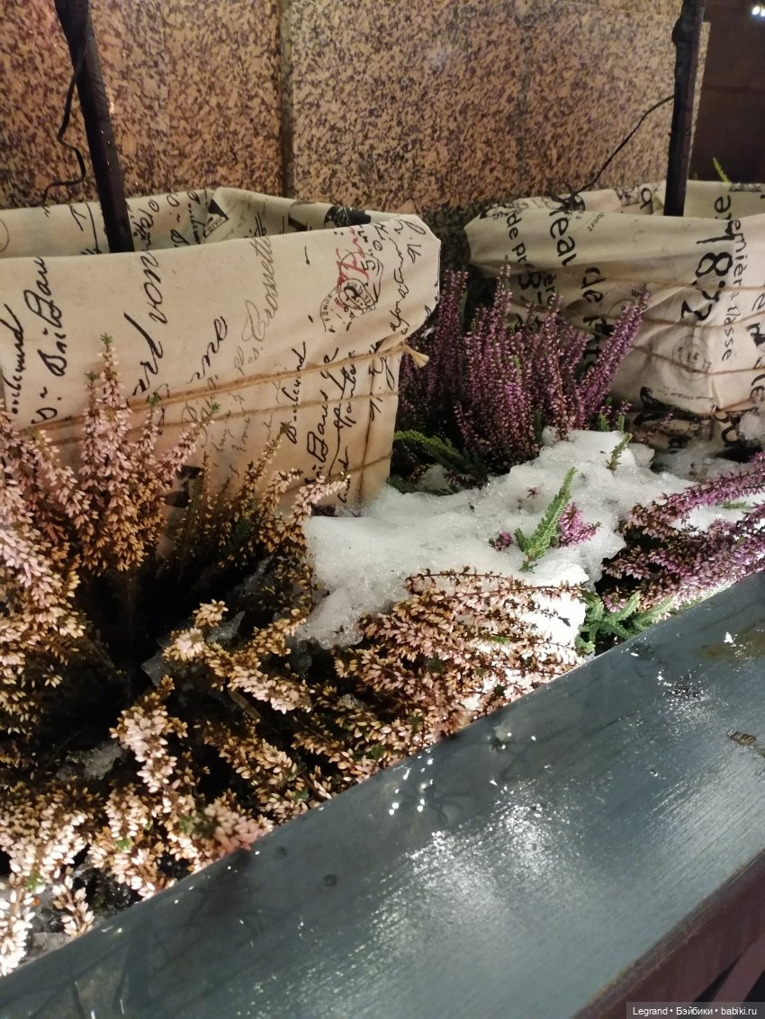 Зимний Санкт-Петербург — Туризм и путешествия: фотоотчеты из поездок