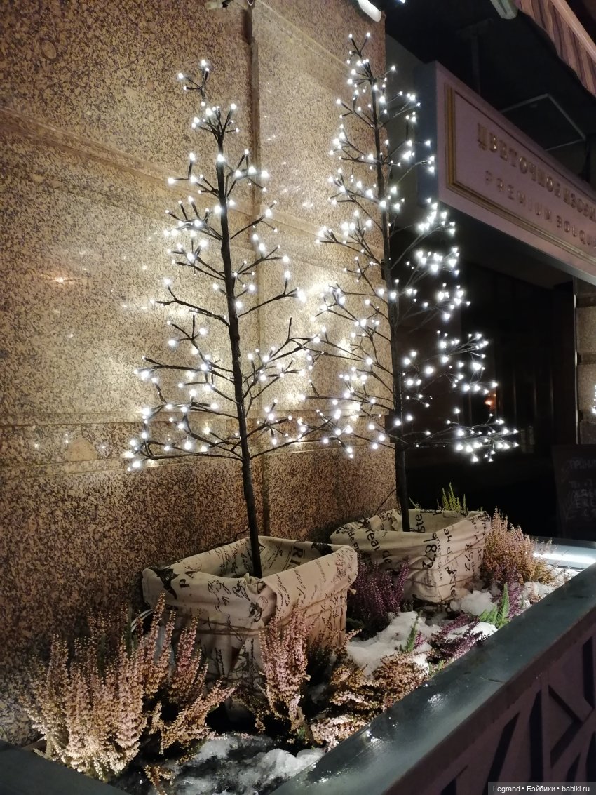 Зимний Санкт-Петербург — Туризм и путешествия: фотоотчеты из поездок