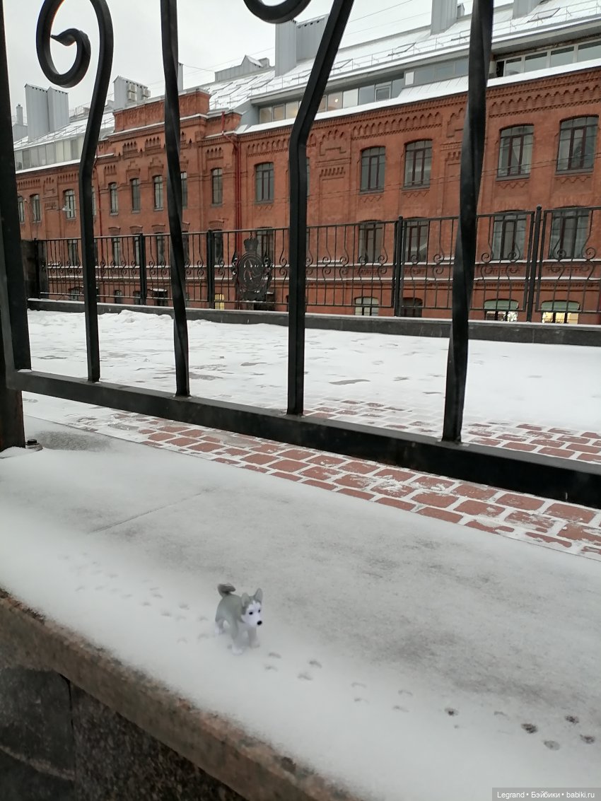 Санкт-Петербург. Январь: Милош в Парадном квартале-1 | Бэйбики Санкт-Петербург. Январь: Милош в Парадном квартале-1