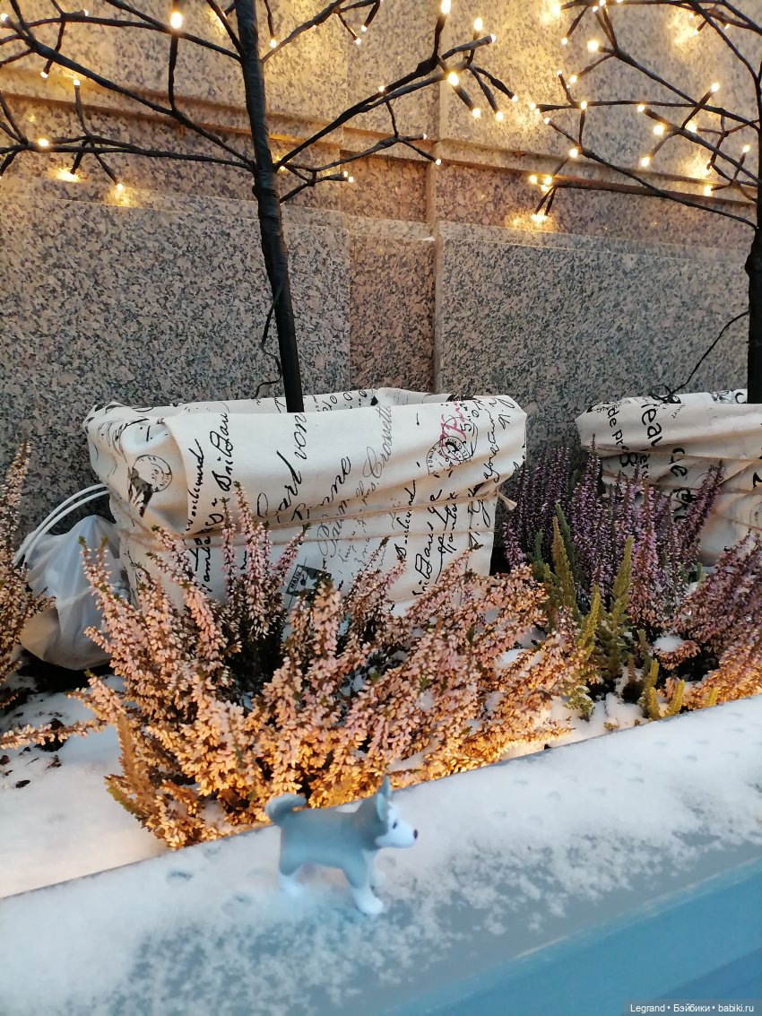 Санкт-Петербург. Январь: Милош в Парадном квартале-2 | Бэйбики Санкт-Петербург. Январь: Милош в Парадном квартале-2