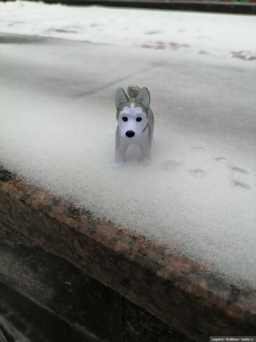 Санкт-Петербург. Январь: Милош в Парадном квартале-1 | Бэйбики Санкт-Петербург. Январь: Милош в Парадном квартале-1 (фото 9)