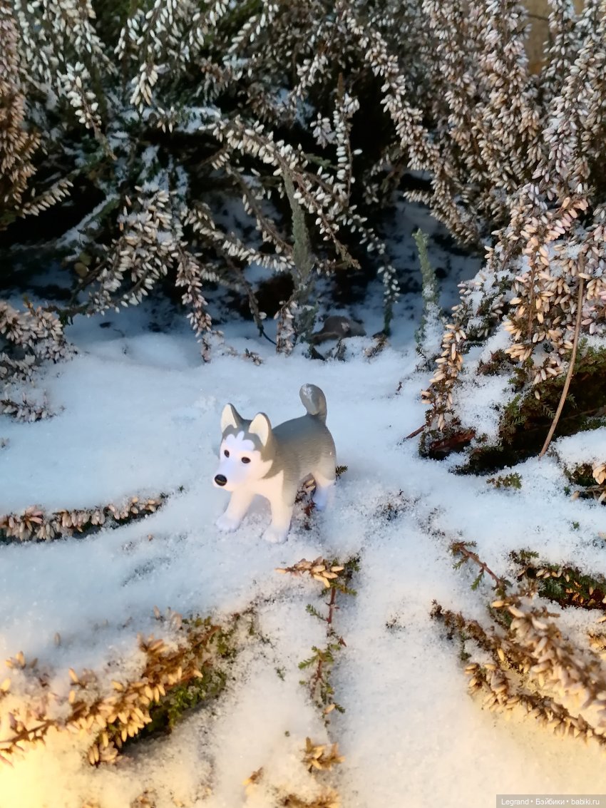 Санкт-Петербург. Январь: Милош в Парадном квартале-2 | Бэйбики Санкт-Петербург. Январь: Милош в Парадном квартале-2