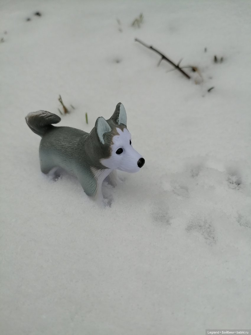 Санкт-Петербург. Январь: Милош в Парадном квартале-1 | Бэйбики Санкт-Петербург. Январь: Милош в Парадном квартале-1