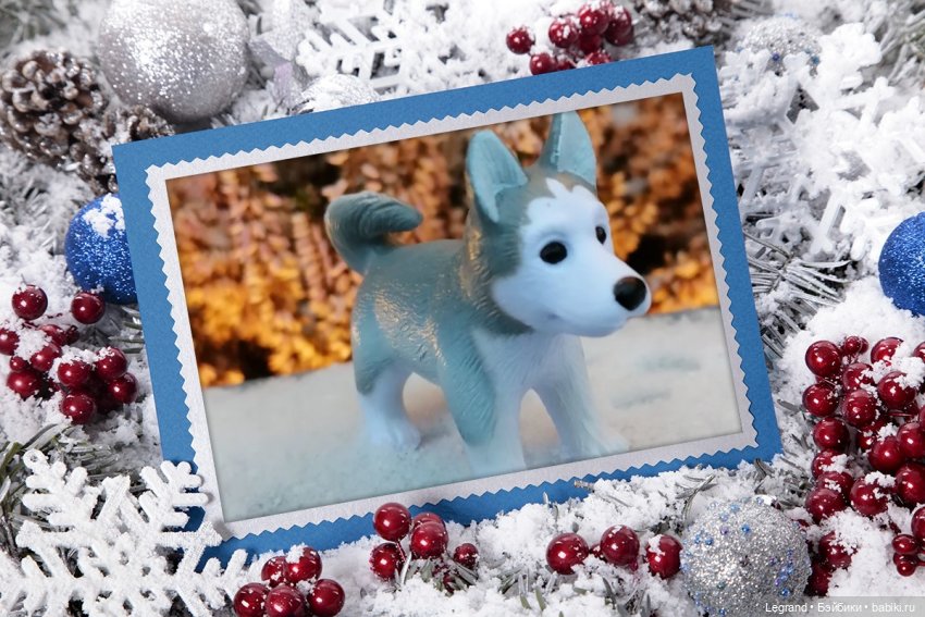 Санкт-Петербург. Январь: Милош в Парадном квартале-2 | Бэйбики Санкт-Петербург. Январь: Милош в Парадном квартале-2