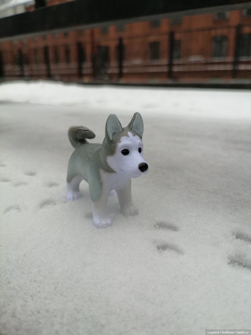 Санкт-Петербург. Январь: Милош в Парадном квартале-1 | Бэйбики Санкт-Петербург. Январь: Милош в Парадном квартале-1