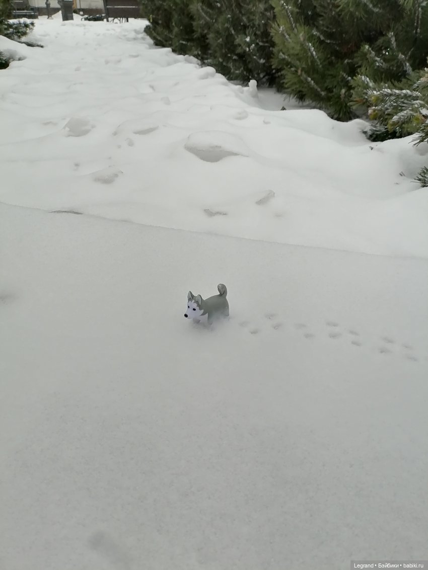 Санкт-Петербург. Январь: Милош в Парадном квартале-1 | Бэйбики Санкт-Петербург. Январь: Милош в Парадном квартале-1